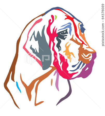 Colorful decorative portrait of Dog Great Dane 64376089