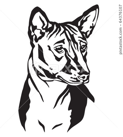 Decorative portrait of Dog Basenji vector 64376107