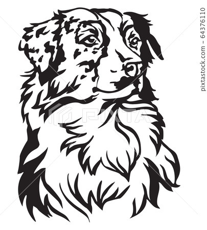 Decorative portrait of Dog Australian shepherd Decorative portrait of Dog Australian shepherd 64376110