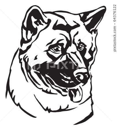 Decorative portrait of Dog American akita vector 64376122