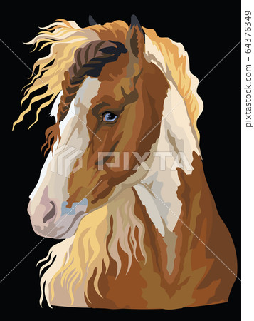 Colorful Horse portrait-3 Colorful Horse portrait-3 64376349
