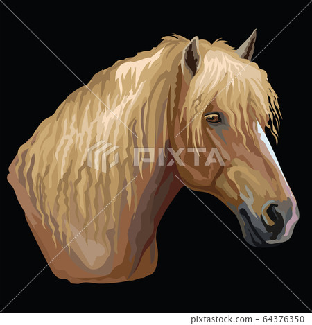 Colorful Horse portrait-2 Colorful Horse portrait-2 64376350