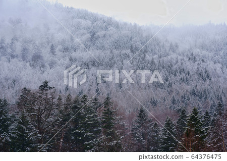 Mountain in winter 64376475