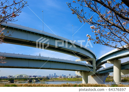 View of the Five-colored Sakura Bridge from the Arakawa River 64376897