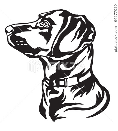 Decorative portrait of Dog Labrador Retriever 64377030
