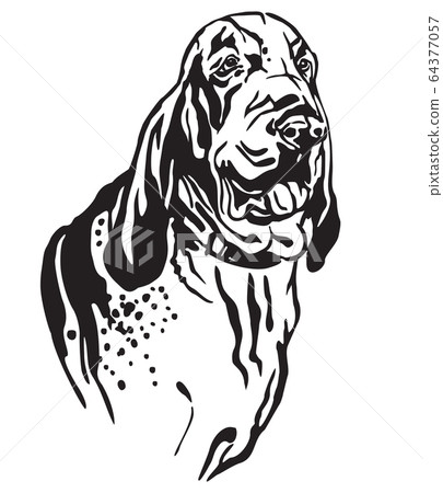 Decorative portrait of Dog Bracco Italiano vector 64377057