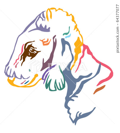 Colorful decorative portrait of Dog Bedlington 64377077