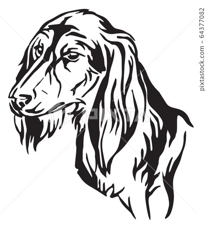 Decorative portrait of Dog Saluki vector 64377082