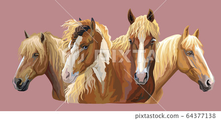 Set of horses breeds 6 Set of horses breeds 6 64377138