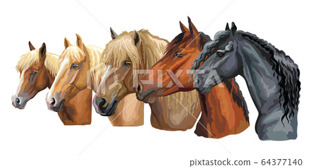 Set of horses breeds 4 Set of horses breeds 4 64377140