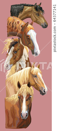 Postcard with horses 4 Postcard with horses 4 64377141