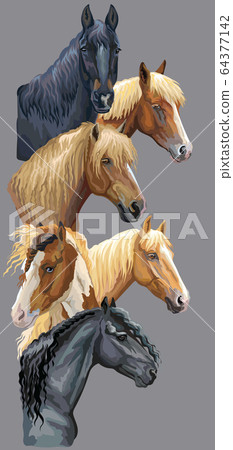 Postcard with horses 3 64377142
