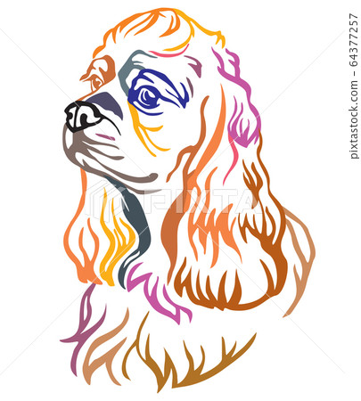 Colorful decorative portrait of Dog American 64377257