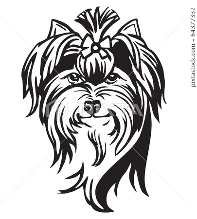 Decorative portrait of Dog Yorkshire Terrier Decorative portrait of Dog Yorkshire Terrier 64377332