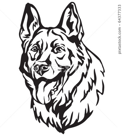 Decorative portrait of Dog Shepherd 3 vector Decorative portrait of Dog Shepherd 3 vector 64377333