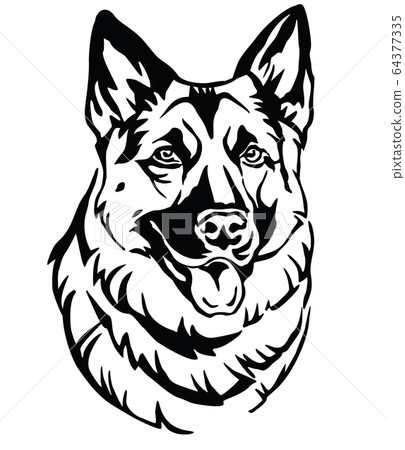 Decorative portrait of Dog Shepherd 2 vector Decorative portrait of Dog Shepherd 2 vector 64377335