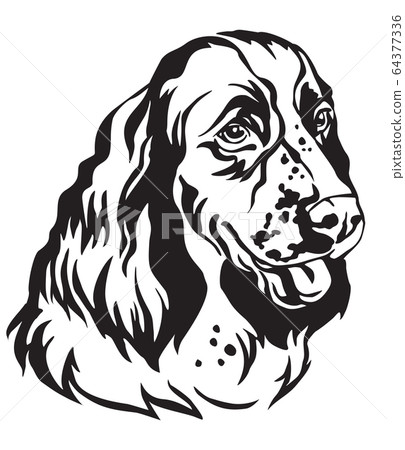 Decorative portrait of Dog English Springer 64377336