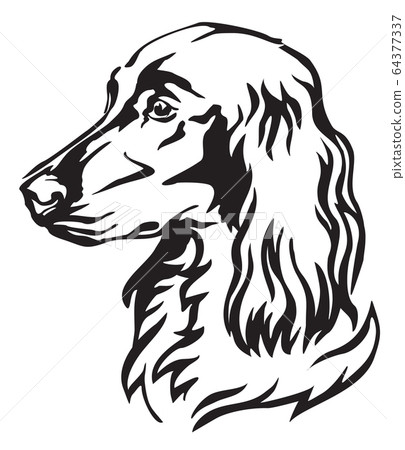 Decorative portrait of Dog Irish Setter vector 64377337