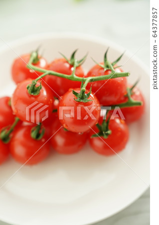  Mini Tomato 64377857