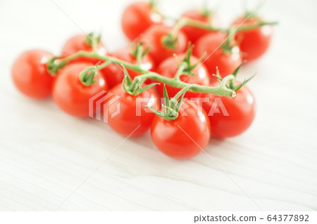 Mini Tomato Mini Tomato 64377892