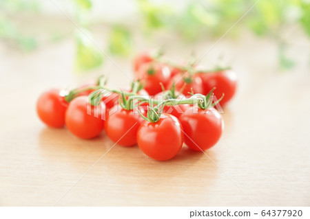 Mini Tomato Mini Tomato 64377920