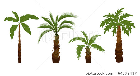 Palm trees flat Palm trees flat 64378487