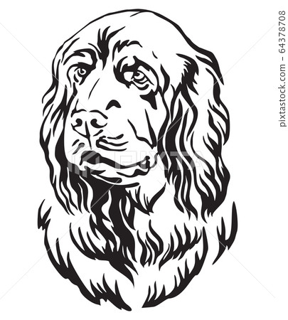 Decorative portrait of Sussex Spaniel Dog vector 64378708