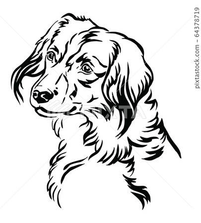 Decorative portrait of Nederlandse Kooikerhondje 64378719