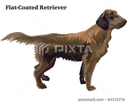 Colored decorative standing portrait of Colored decorative standing portrait of 64378776