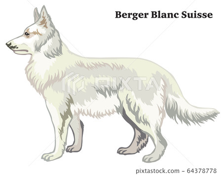 Colored decorative standing portrait of Berger Colored decorative standing portrait of Berger 64378778