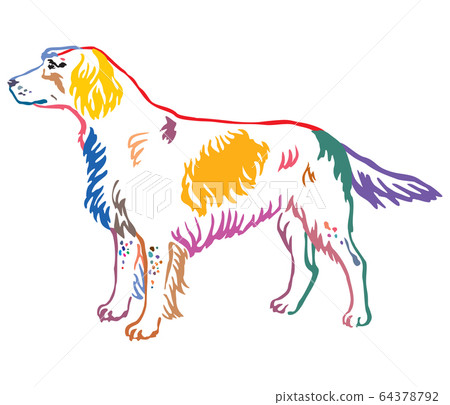 Colorful decorative portrait of Small Colorful decorative portrait of Small 64378792