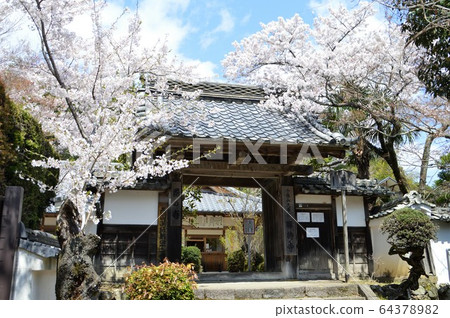 Kyoto / Shoji Temple 64378982