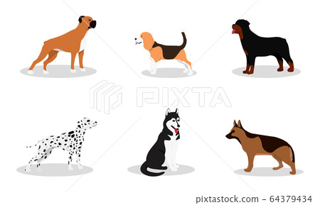 Set of different types of dogs. 64379434