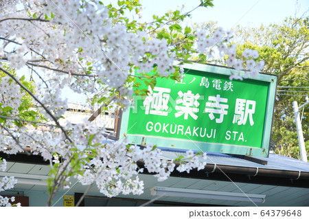 Cherry blossoms at Kamakura City, Kanagawa Prefecture Enoshima Electric Railway Line Gokurakuji Station Cherry blossoms at Kamakura City, Kanagawa Prefecture Enoshima Electric Railway Line Gokurakuji Station 64379648