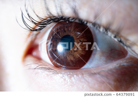 Eyes Eyes Eyes Black Eyes White Eyes Contact Matsue Eyelashes Eyelash Perm Eyes Eyes Eyes Black Eyes White Eyes Contact Matsue Eyelashes Eyelash Perm 64379891