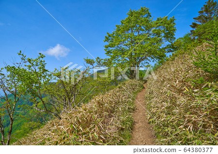 從山梨縣的阿瑪里山開始向山尾傾斜的山路。 64380377