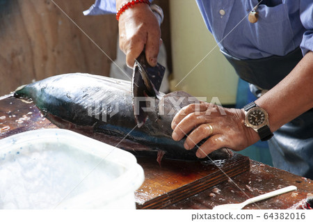 單獨的魚 64382016