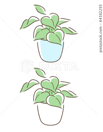 小室內植物 64382293