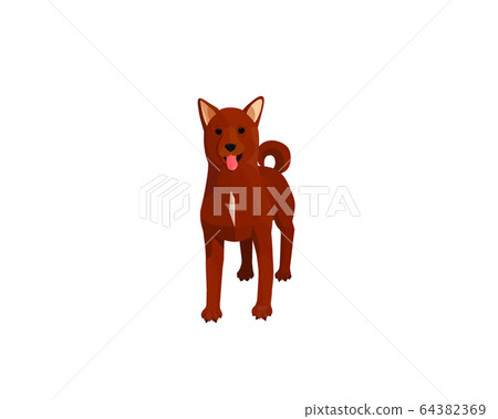 Mino Shiba Inu 64382369