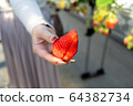 Shizuoka Prefecture strawberry picking 64382734