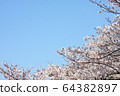  櫻花和藍天 64382897