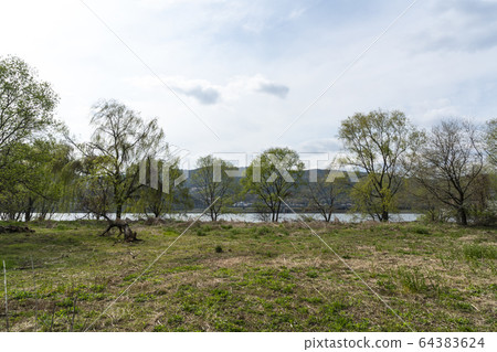 Han River, Spring Han River, Spring 64383624