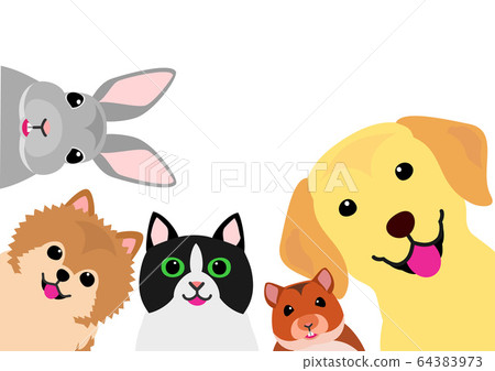 Group of smiling pets 64383973