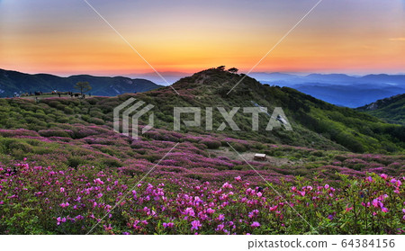 黃馬山 黃馬山 64384156