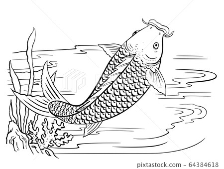 鯉魚戲水 64384618