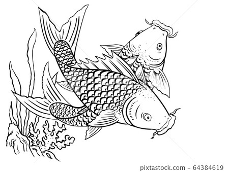 鯉魚戲水 64384619