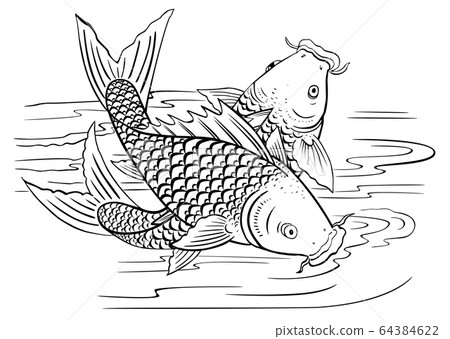 鯉魚戲水 64384622