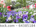 花壇 64385184