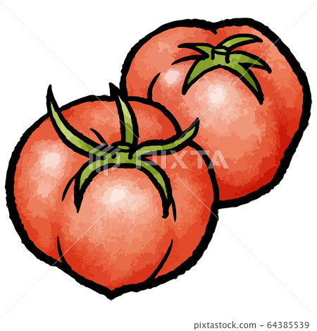 2 Tomatoes - Stock Illustration [64385539] - PIXTA