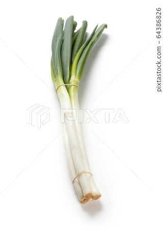 Fresh green leek Fresh green leek 64386826